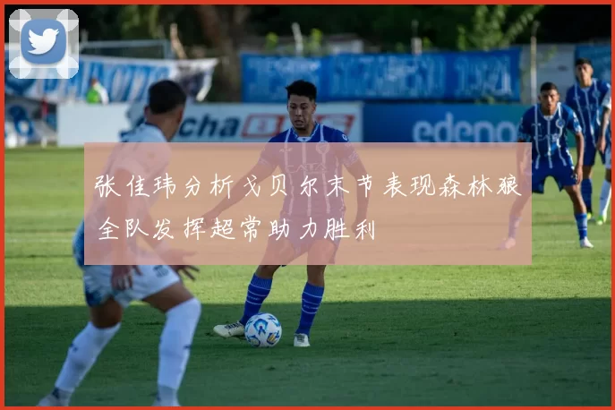 张佳玮分析戈贝尔末节表现森林狼全队发挥超常助力胜利